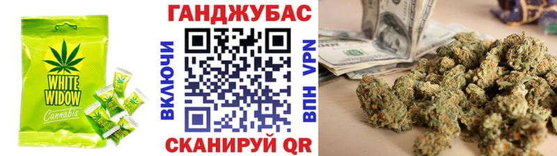 Cannafood конопля  Терек 
