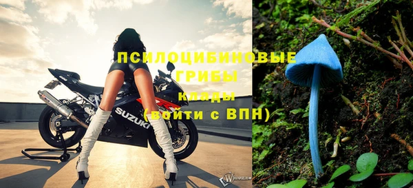 винт Сосновка