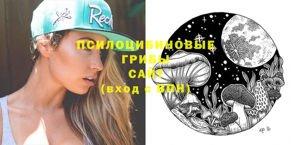 spice Абаза