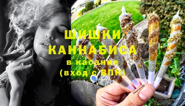 дживик Абинск