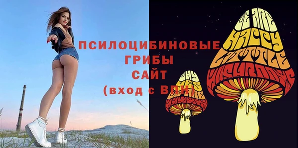 дживик Абинск