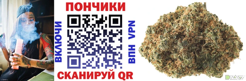 Шишки марихуана планчик  Терек 